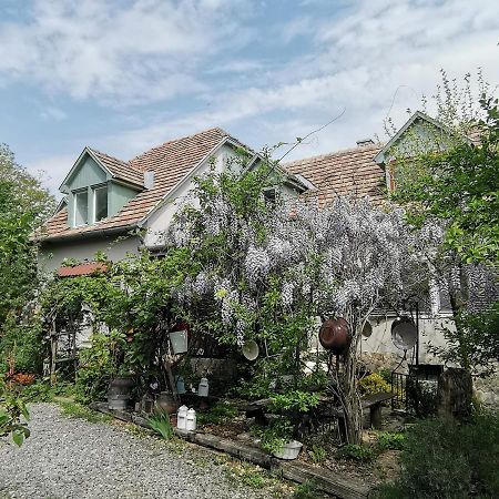 Apartament Forest View Studio Kaposhomok Zewnętrze zdjęcie