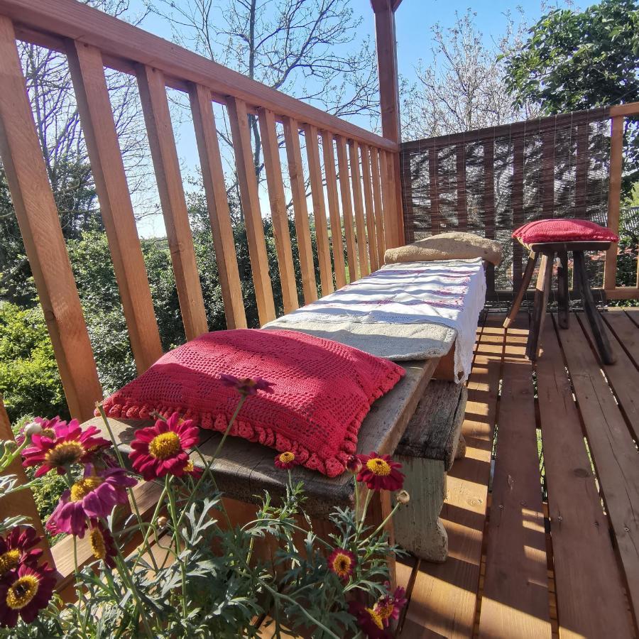 Apartament Forest View Studio Kaposhomok Zewnętrze zdjęcie