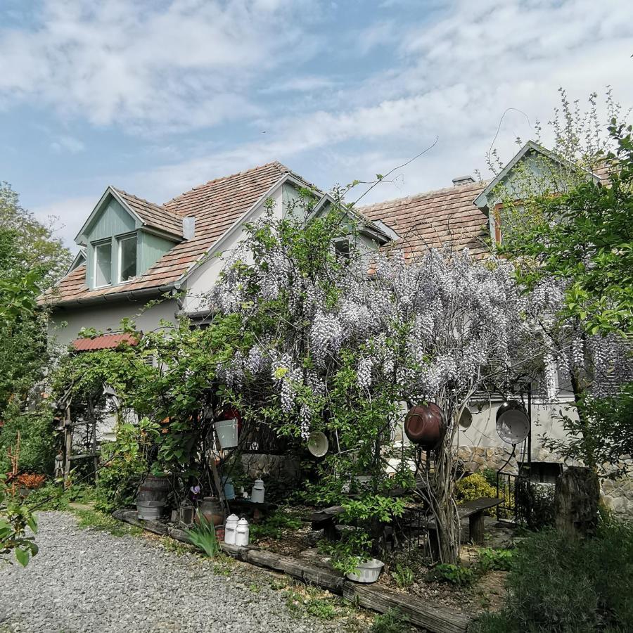 Apartament Forest View Studio Kaposhomok Zewnętrze zdjęcie